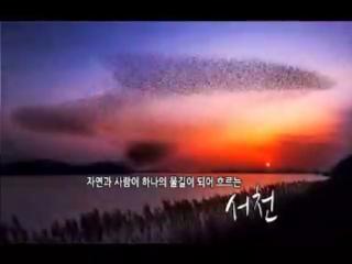 방송