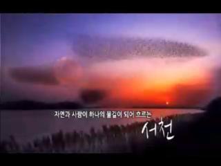 방송