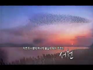 방송