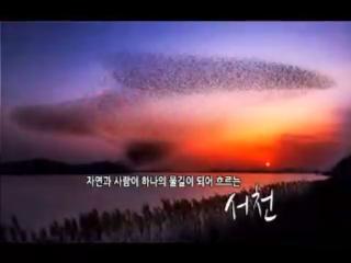 방송