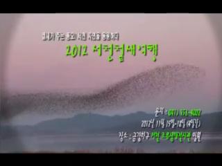방송