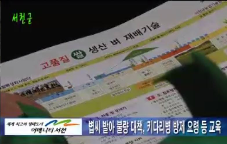 방송