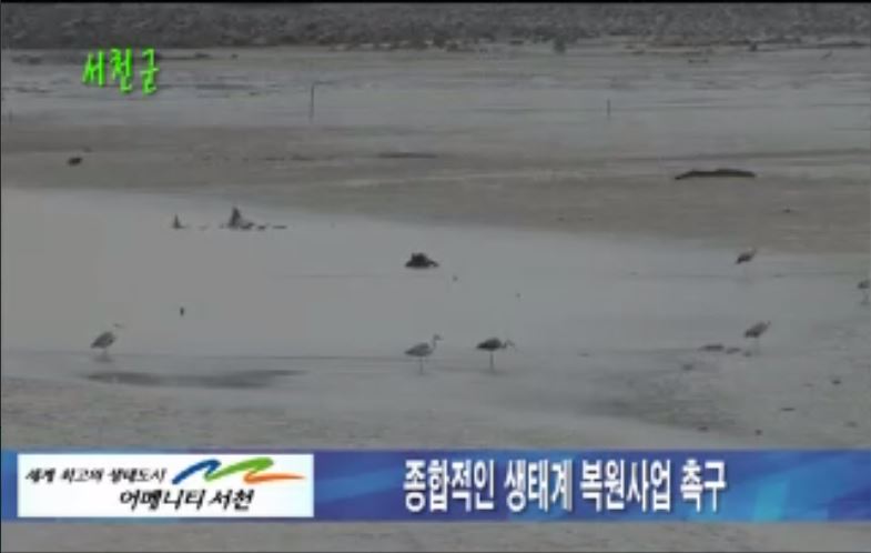 방송