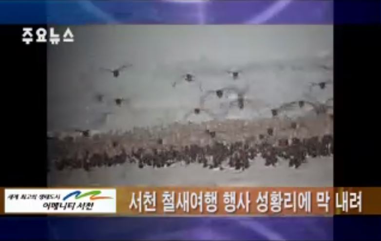 방송