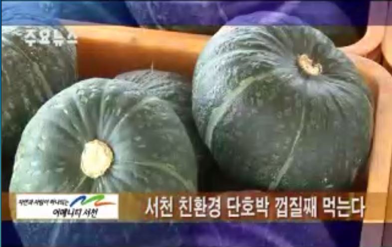 방송