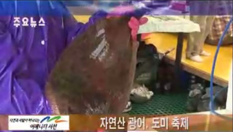 방송