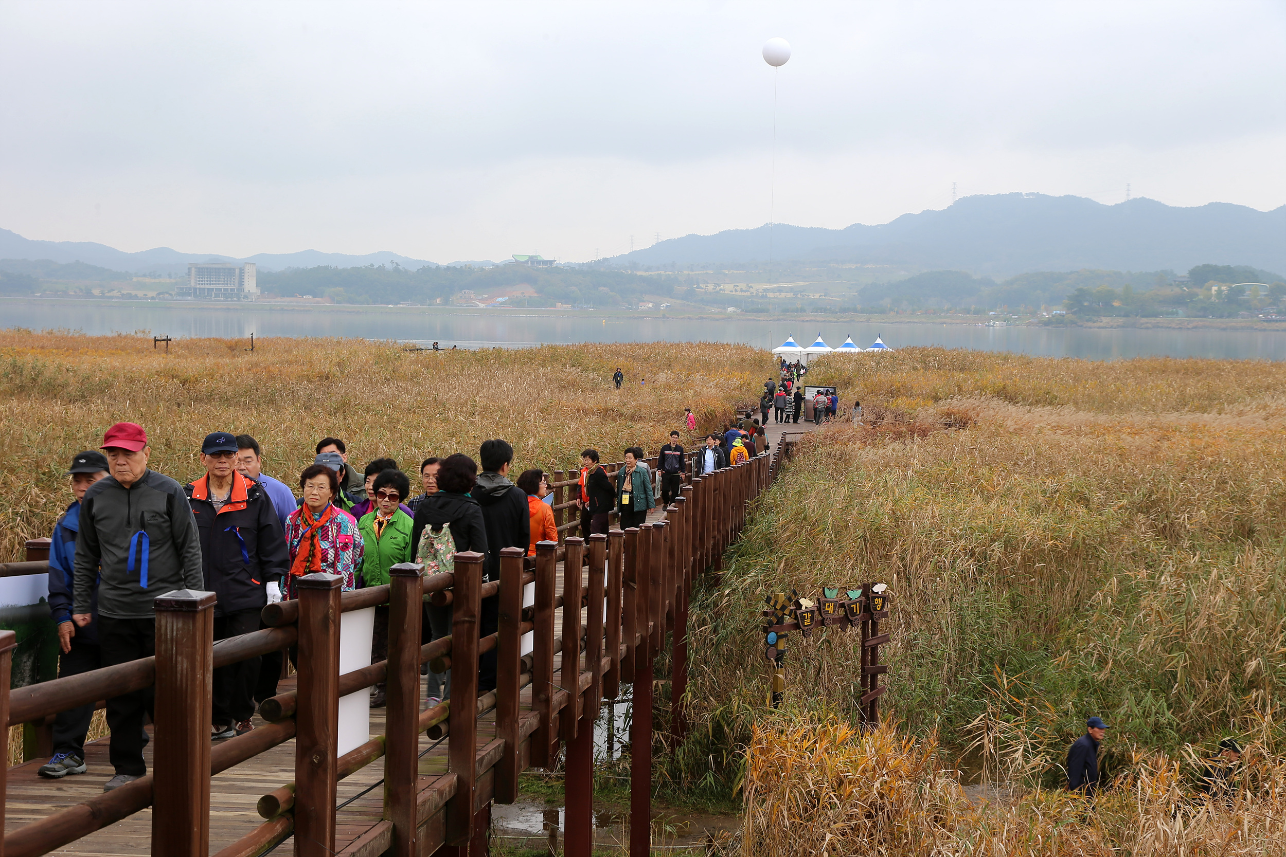 (6일)달빛문화갈대축제
