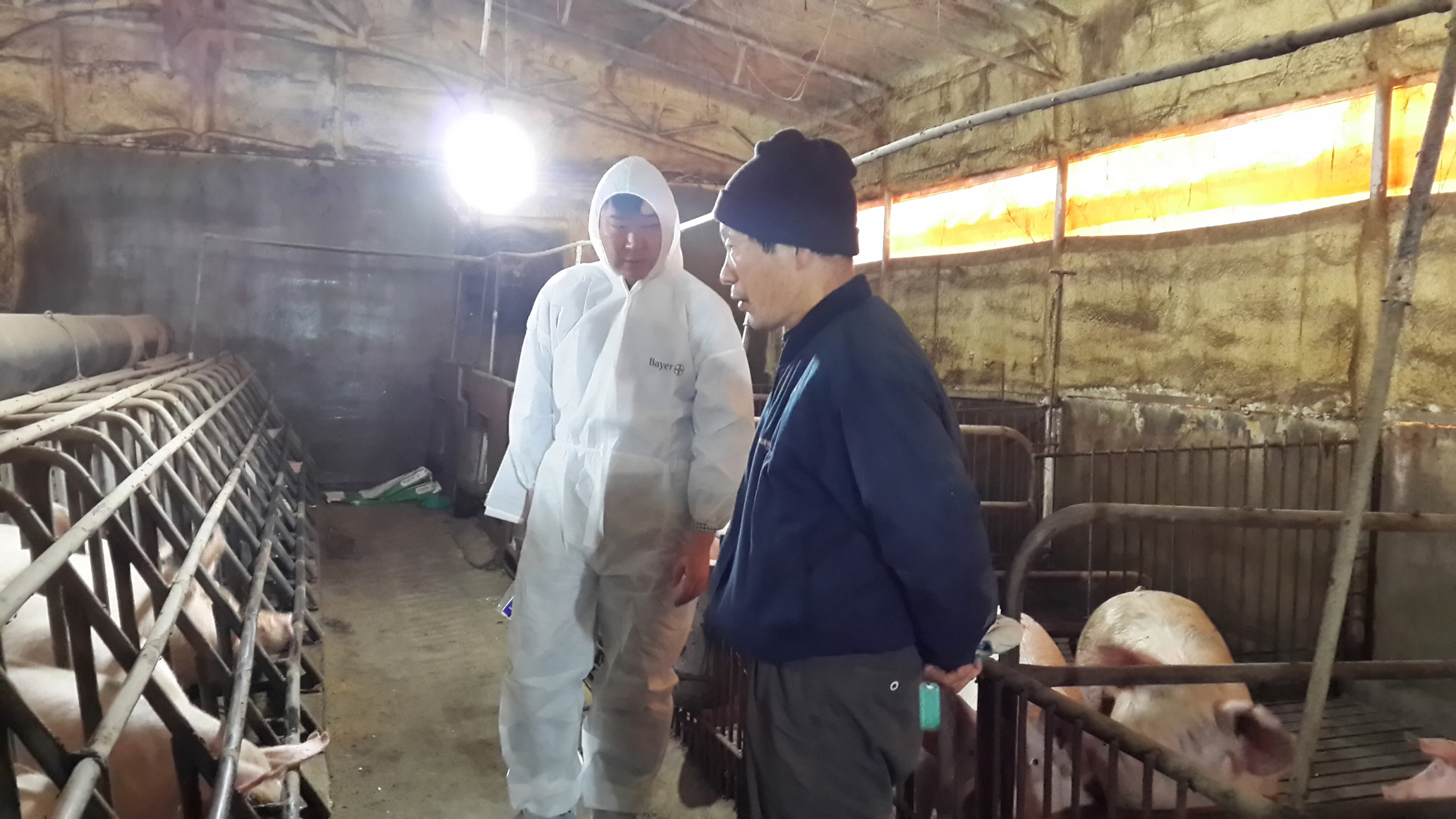 (10일)컨설팅면담