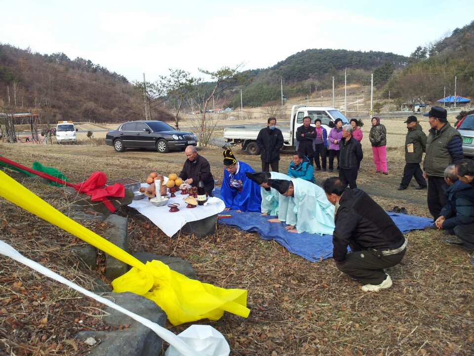 (6일)은행나무고목제