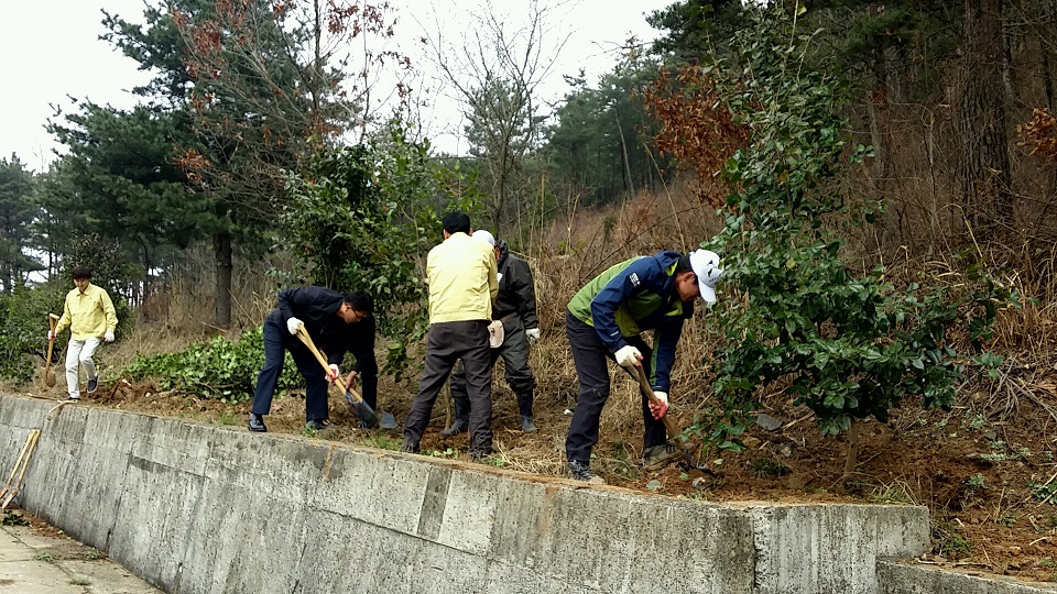 (6일)서면식목행사
