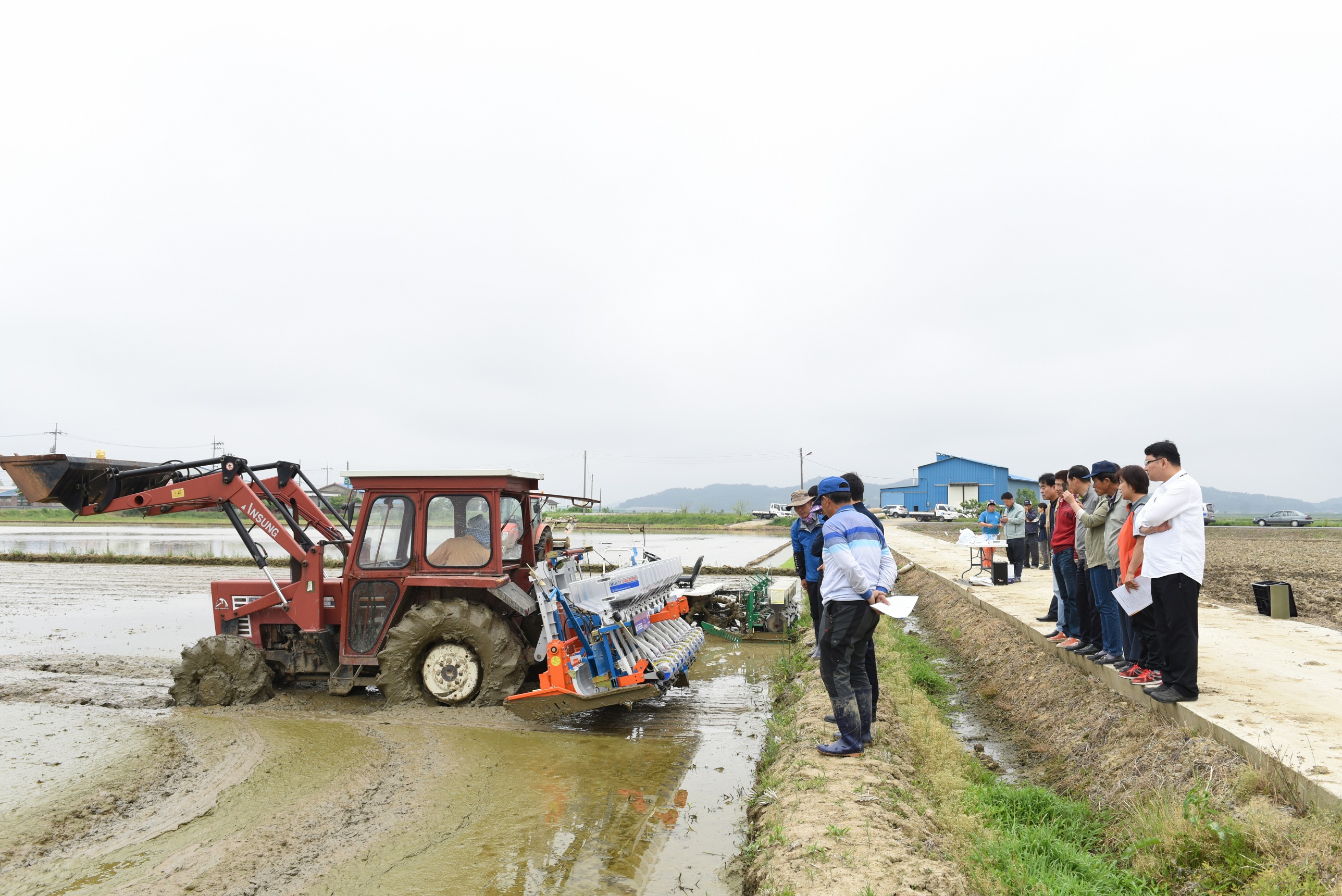 (19일)직파재배연시.JPG