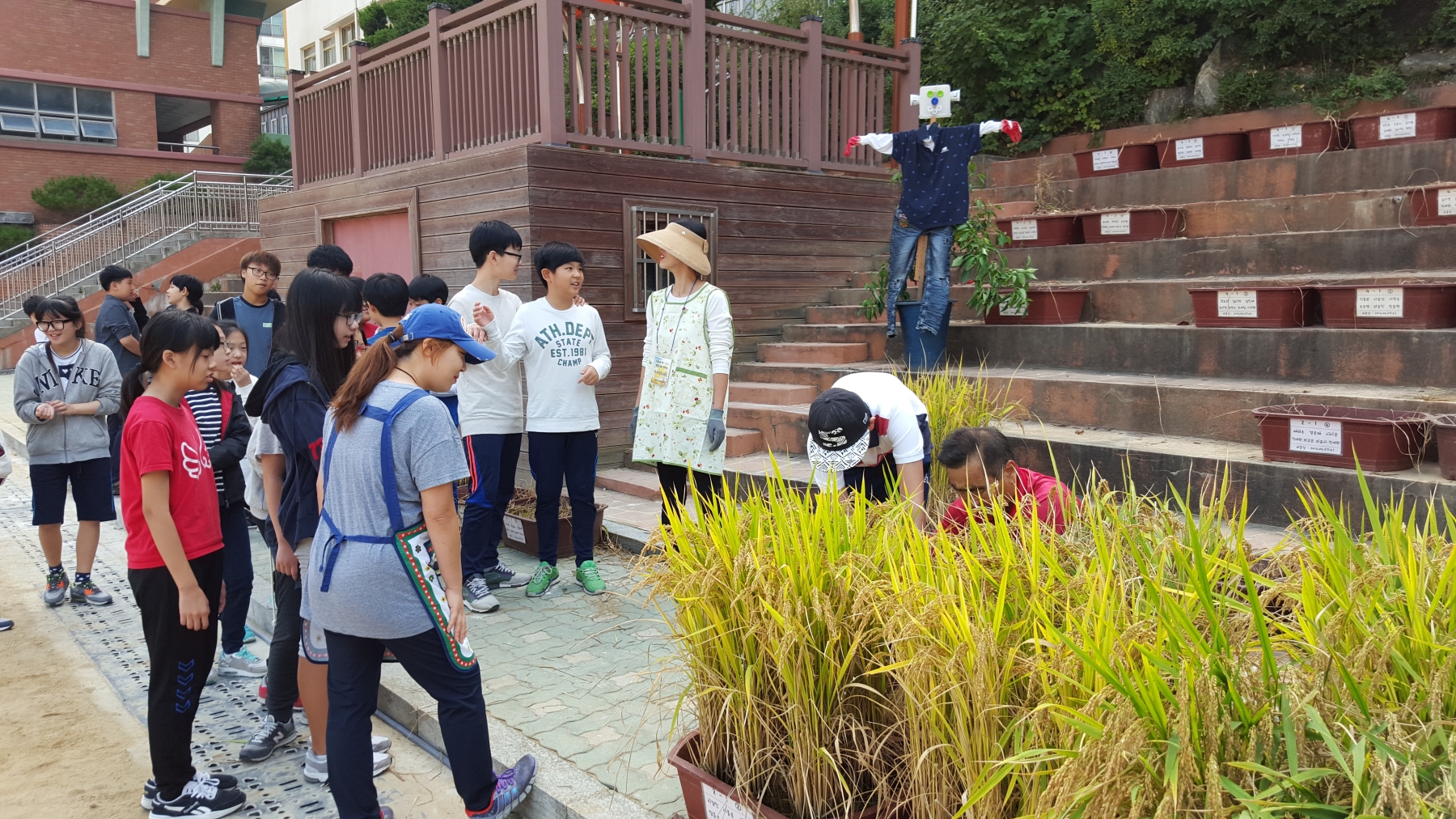 (12일)서천군, 도시 꼬마농부 가을걷이 체험 실시  (1)