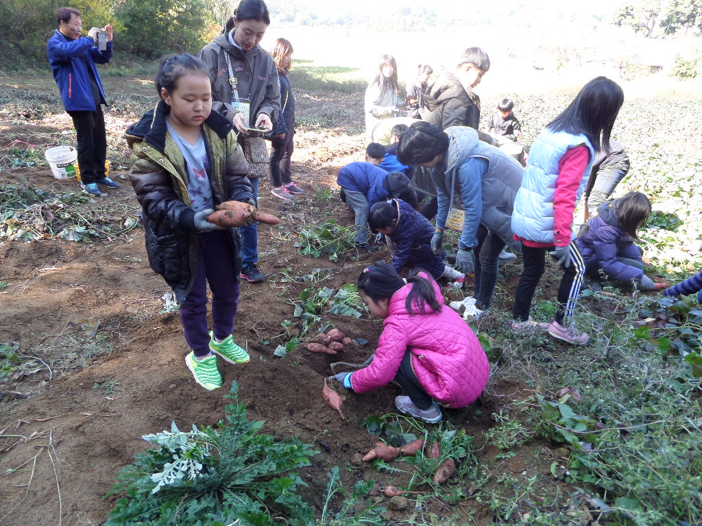 (3일)서울 꼬마농부들, 서천에서 친환경농업 체험학습 실시 (2).JPG