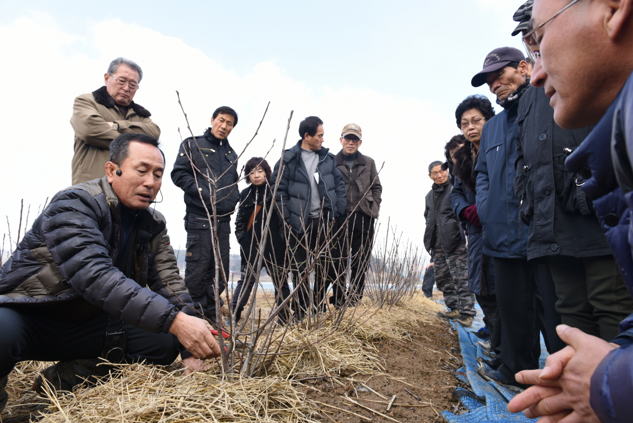 (8일)서천군 농업기술센터, 농업여건 변화에 대응하는 새해농업인실용교육 실시(2015년 교육사진 (1).JPG