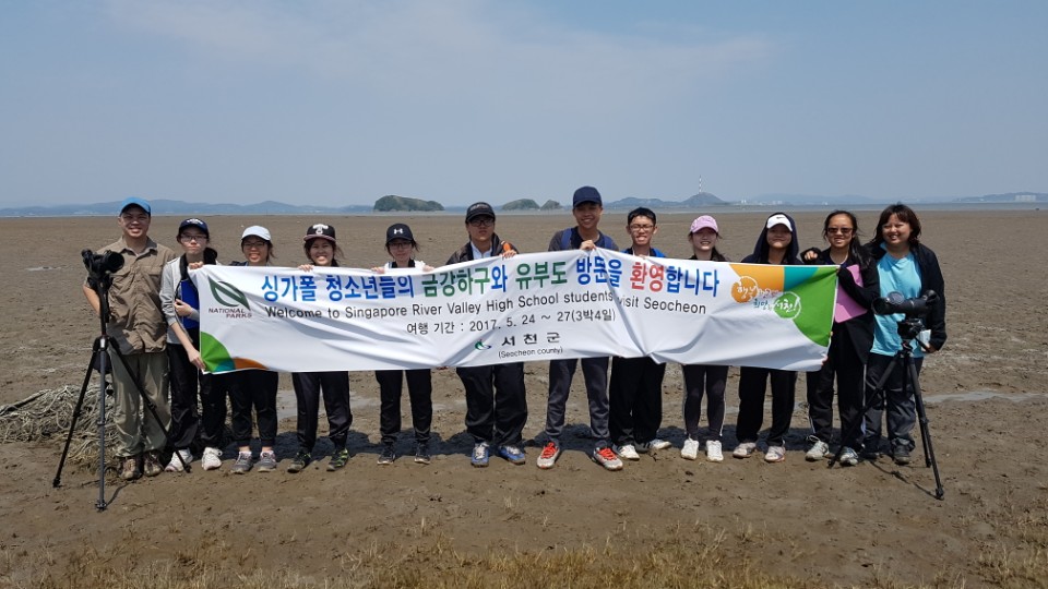 (29일)서천군 싱가포르 과학동아리 서천 유부도 탐조(유부도 탐조)
