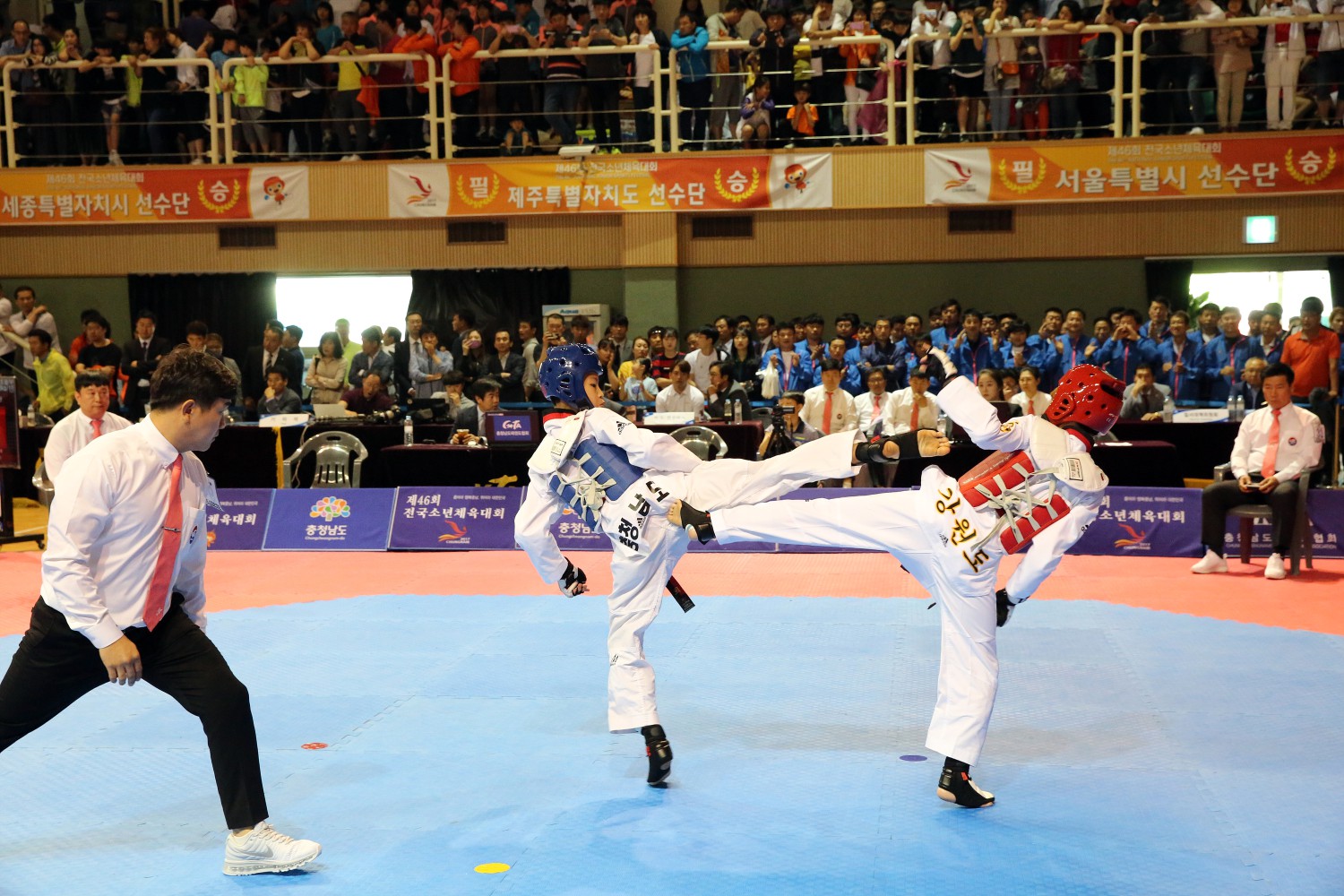 (31일)서천군 꿈나무스포츠축제 제46회 전국소년체전 태권도 대회 (1)