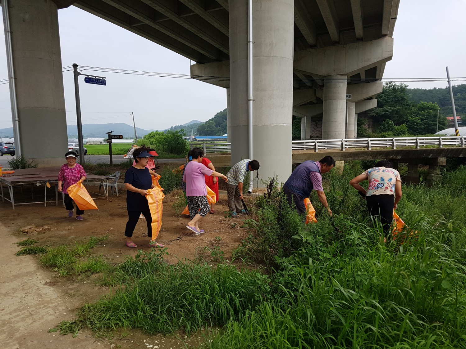 (27일)서천군 시초면 후암리 마을 대청소 실시 (1)