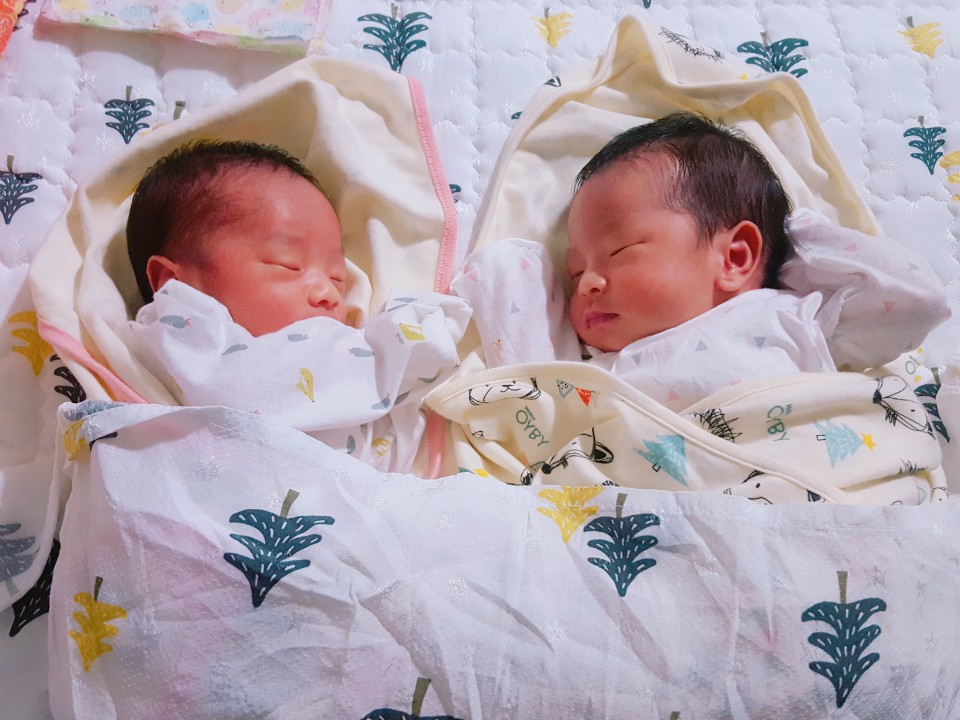 (24일)서천군 문산면 북산마을 쌍둥이 선물 (1)