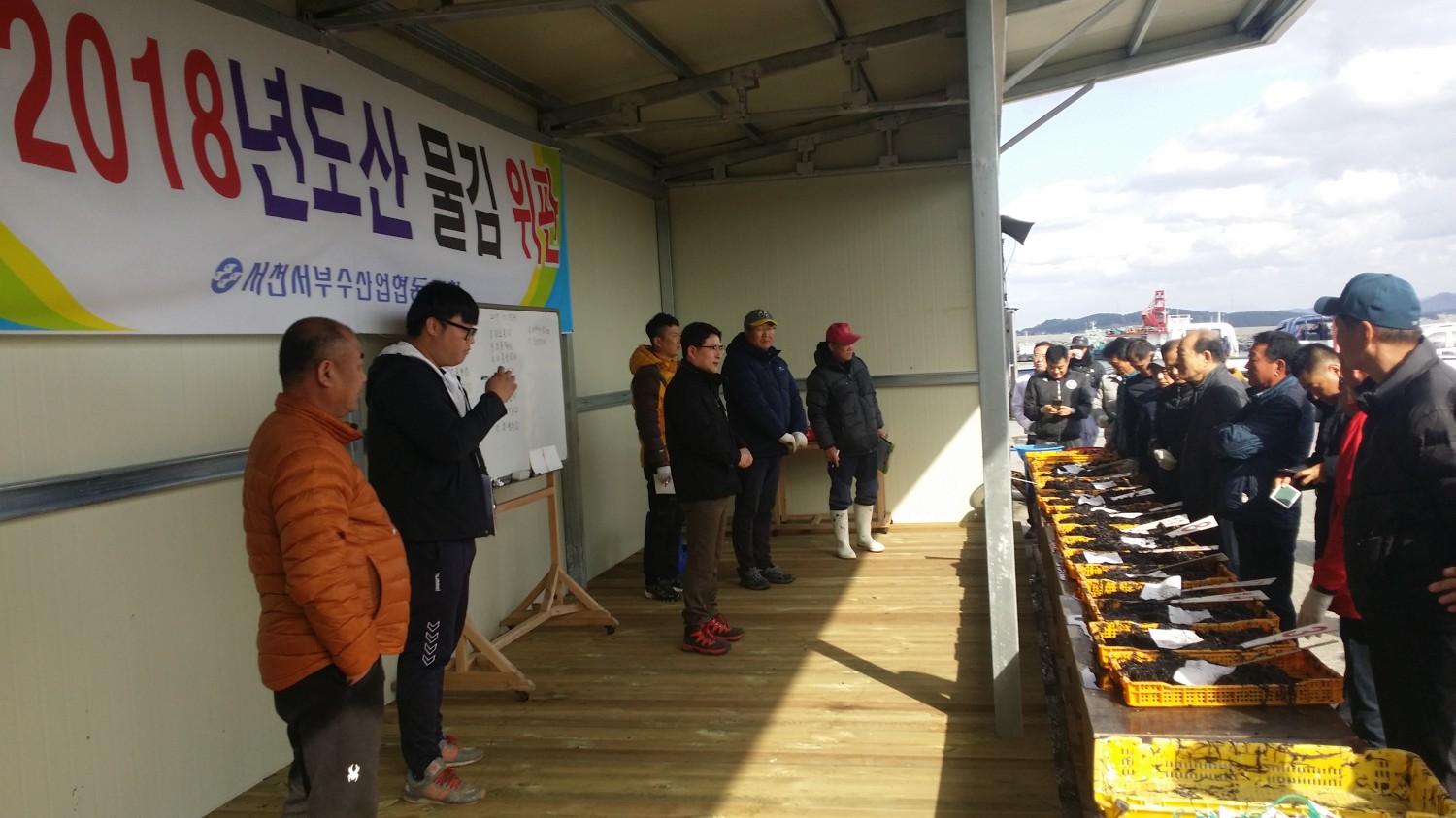 (17일)서천군 서면 본격적인 물김 생산 시작