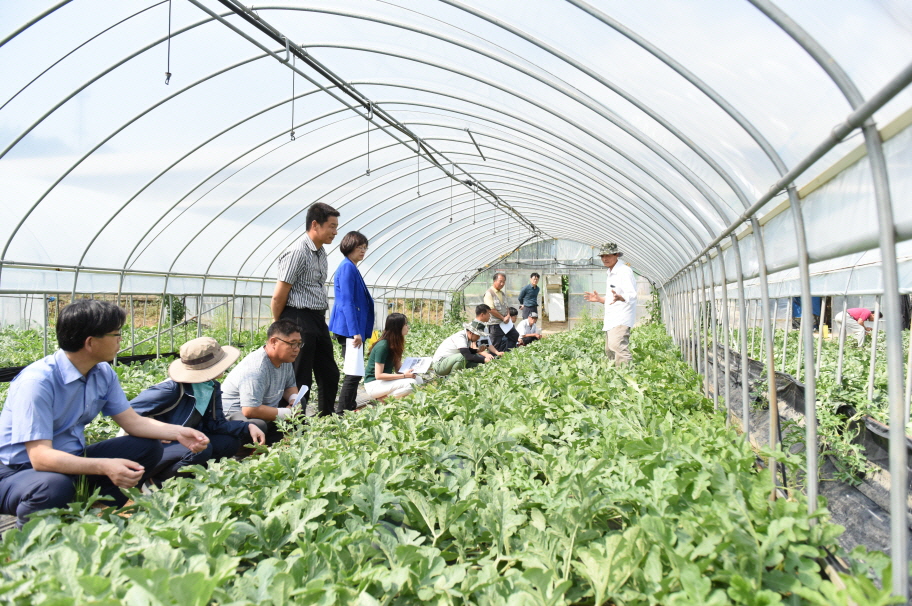 사진(4일) 서천군농업기술센터, 2019년 농업기술보급 시범사업 신청 접수 (지난해 시범사업 관련 사진)
