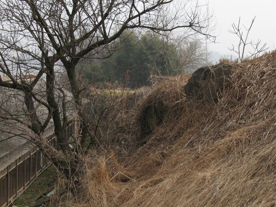 getImage (7)