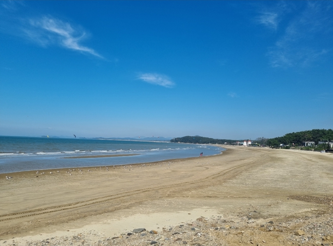 1. 서천군 서면 춘장대해수욕장, 수질‘적합’판정, 안전하게 즐기세요! (3)