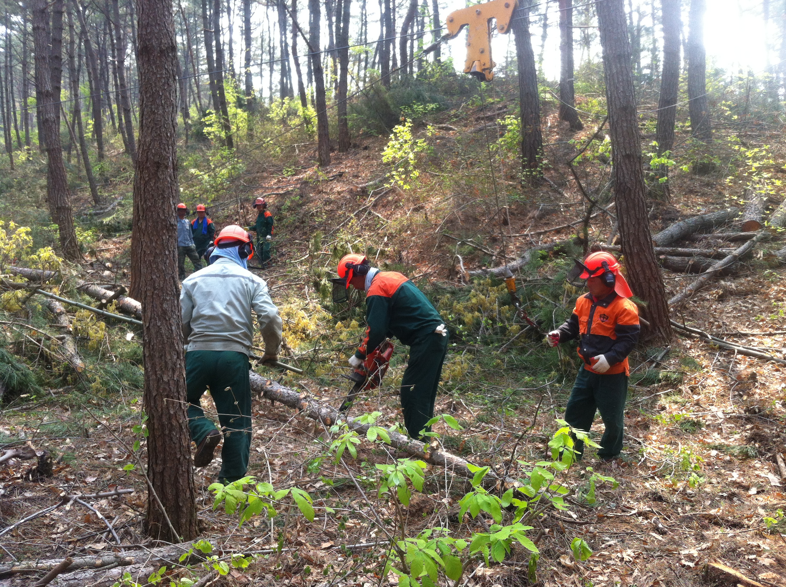 서천군, 산림사업장 안전사고예방 특별점검 실시