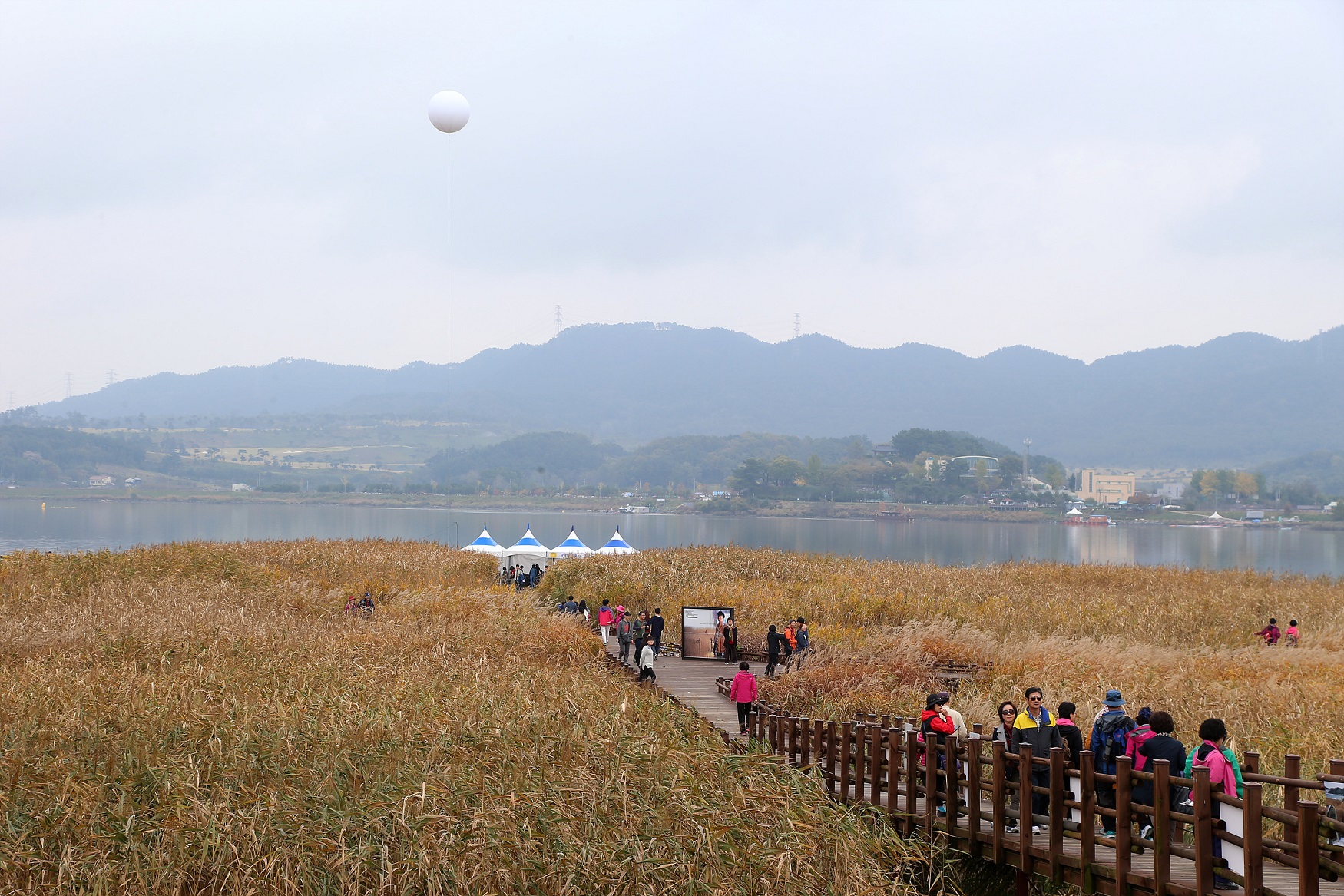 “서천 달빛문화갈대축제”3년 연속 우수 농촌마을 축제 선정