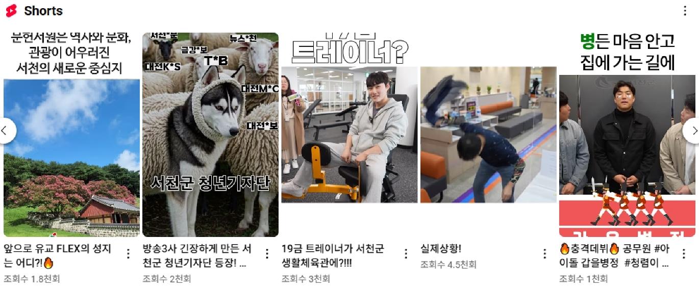 서천군, 전국 최초 AI 활용 홍보조례 전면 시행,‘공공홍보의 혁신 모델’로 부상