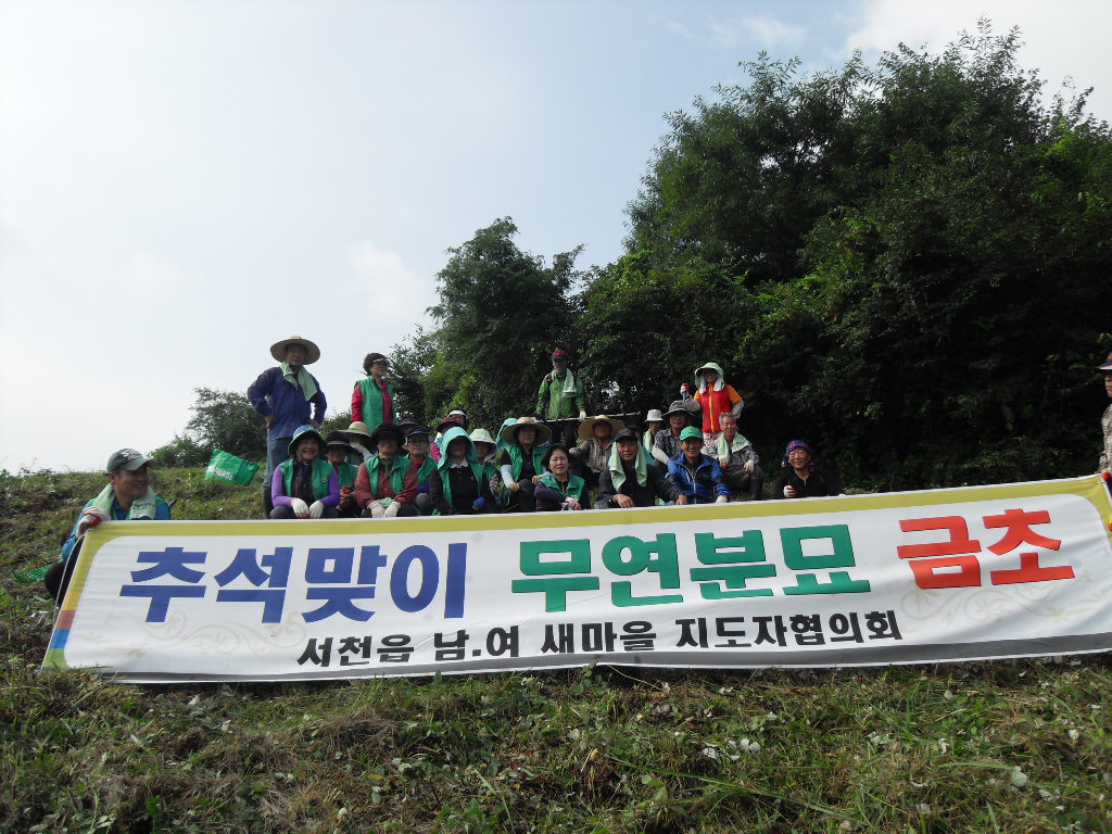 서천군, 새마을지도자회 무연분묘 벌초 잇따라