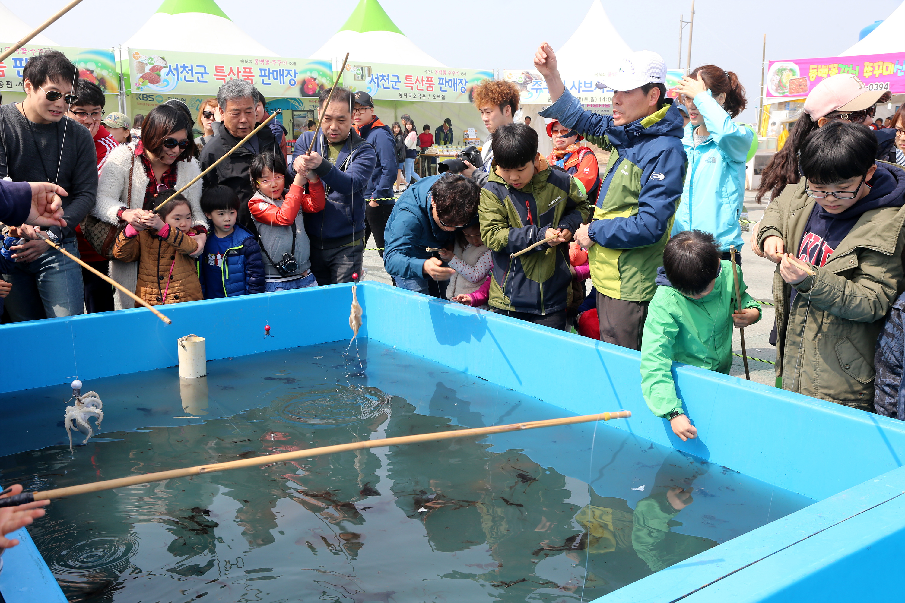 서천군, 동백꽃？주꾸미 축제 성황리에 개막