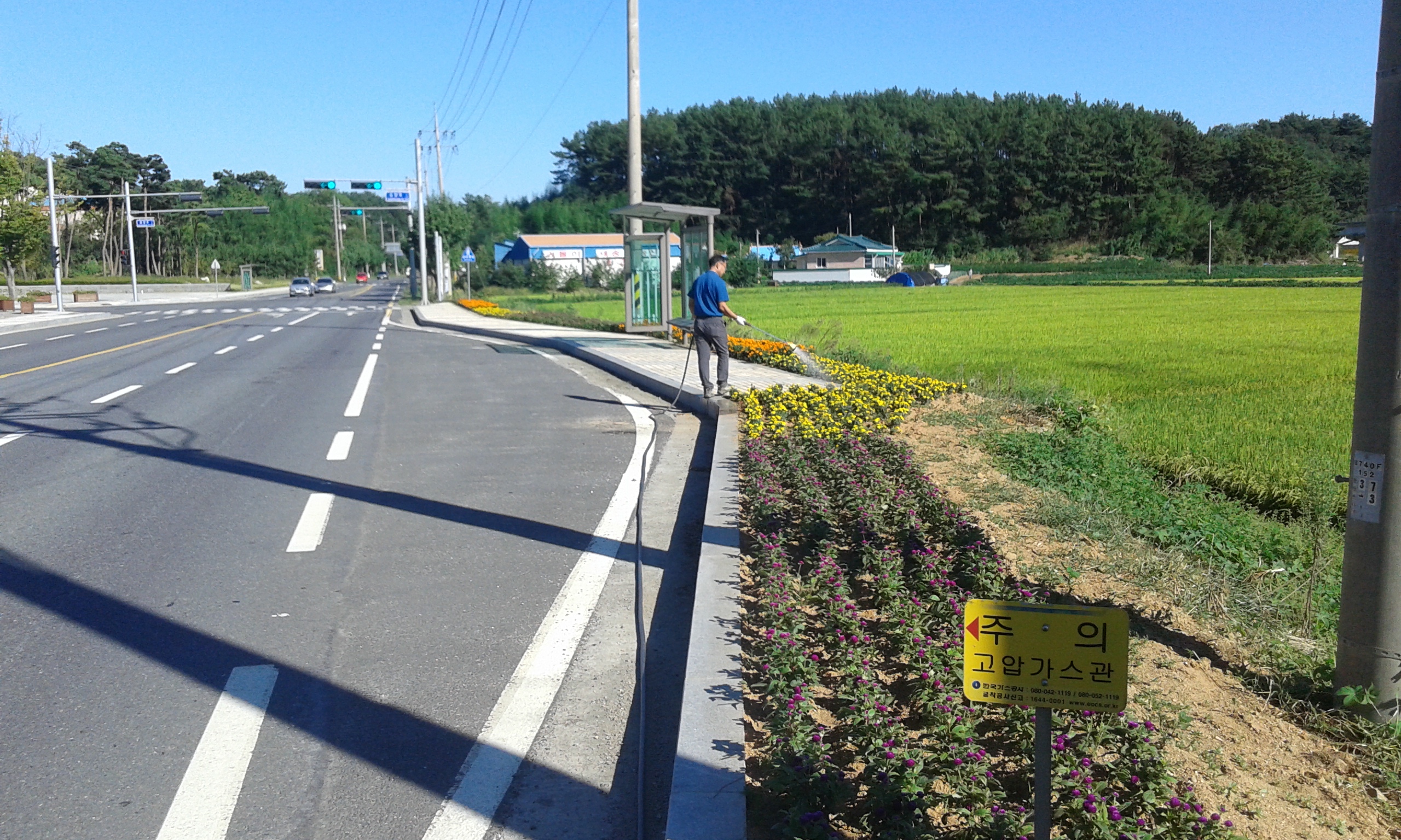 마서면, 국립생태원 주변 꽃길 조성