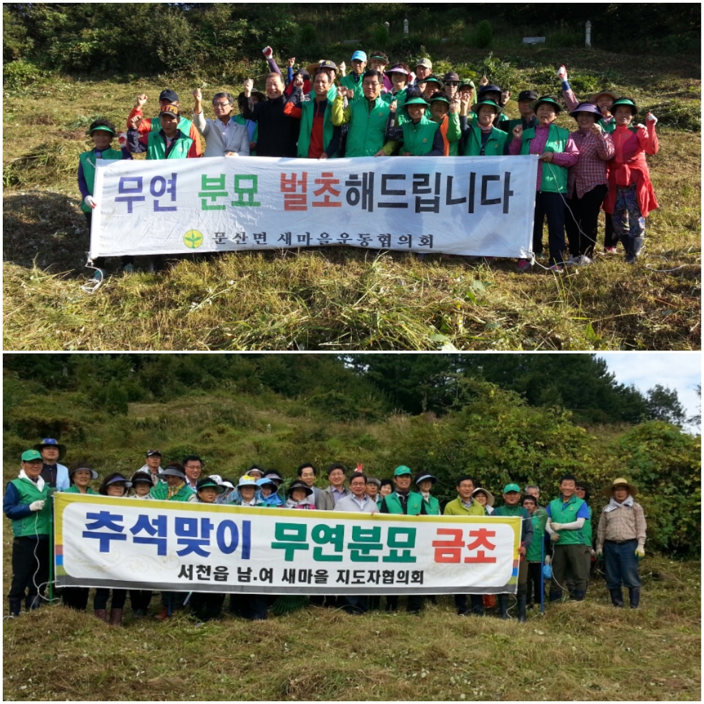 서천군, 추석맞이 무연분묘 벌초로 지역사랑 실천