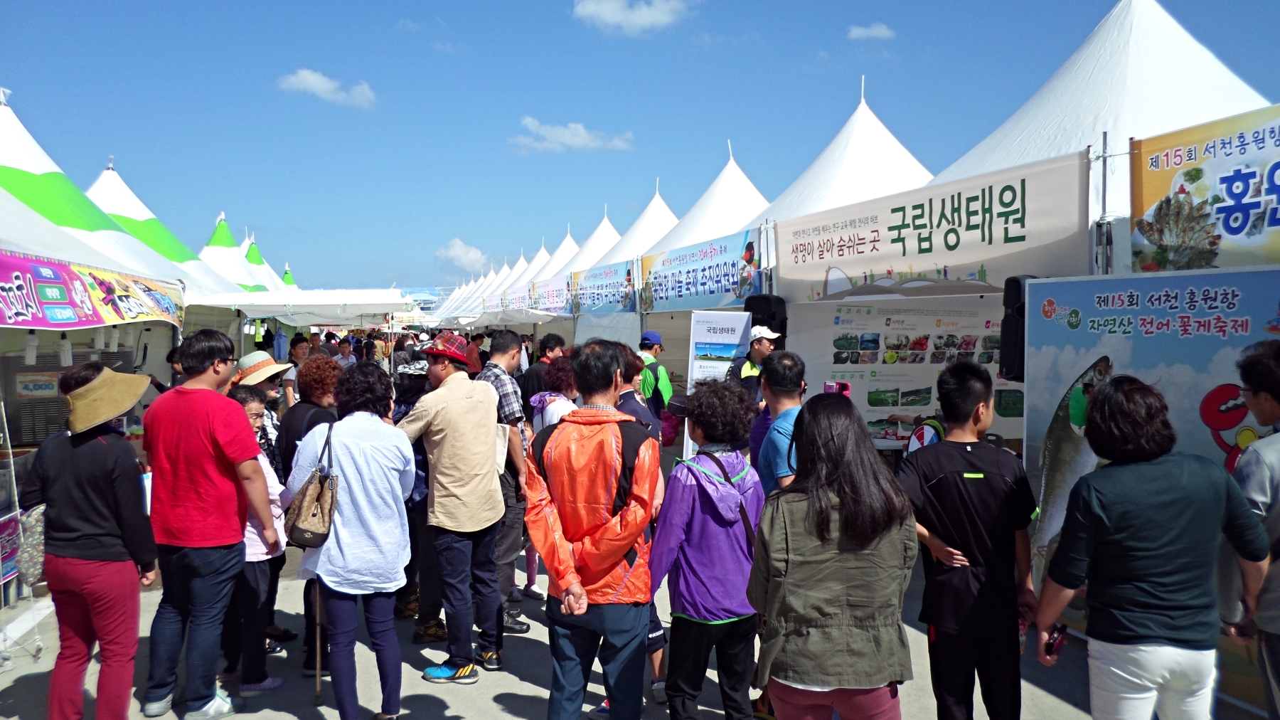제15회 서천 홍원항 자연산 전어？꽃게 축제 성료, 서천군 대표 가을축제로 정착