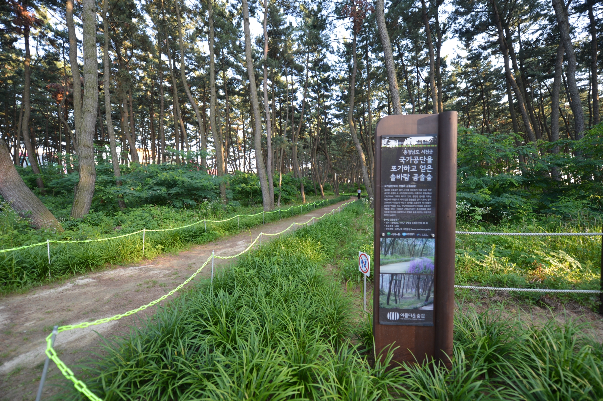 서천군 장항 송림산림욕장의 새로운 변신