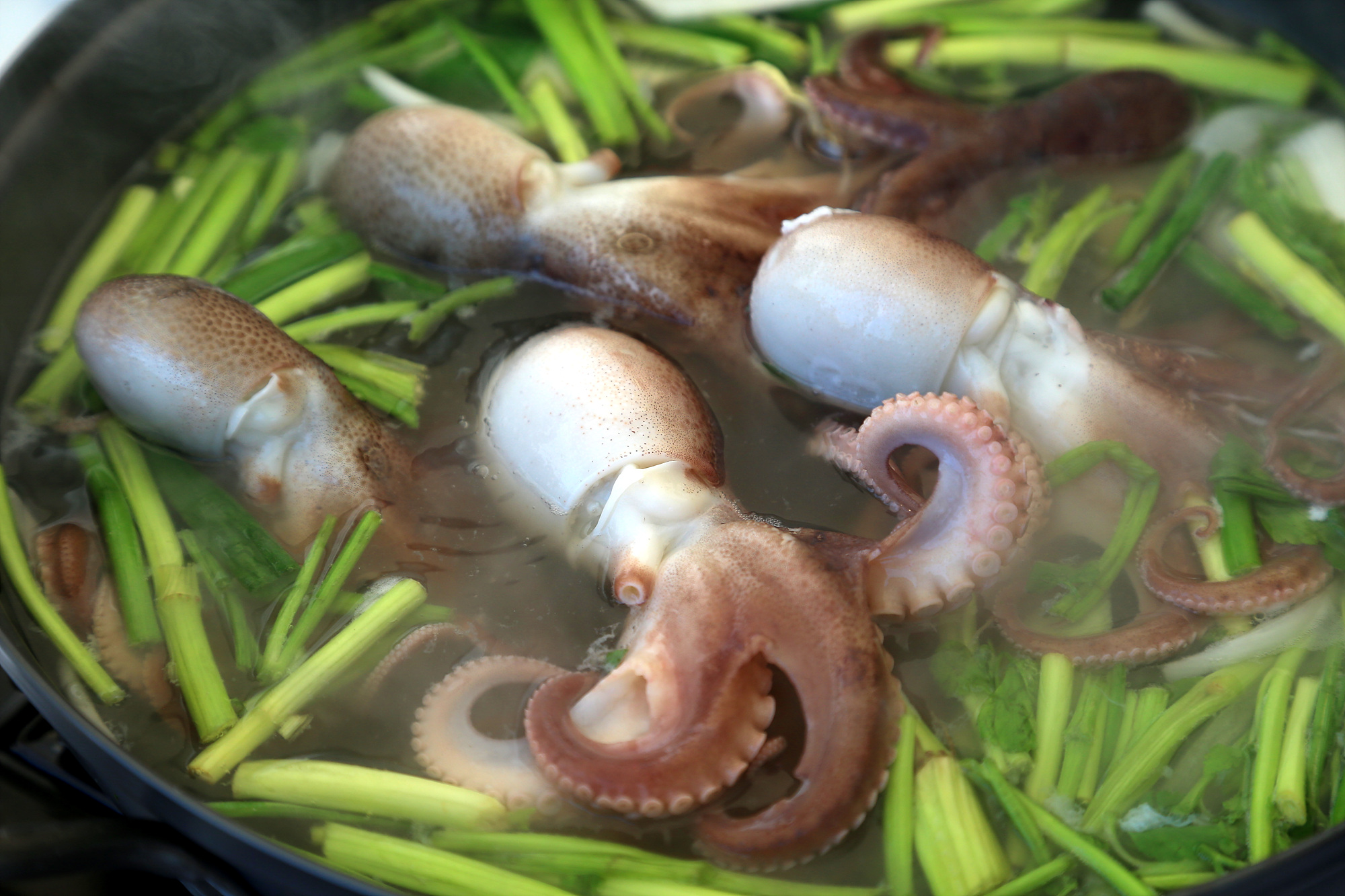 봄 향기 물씬,  주꾸미 맛보러 서천으로 봄나들이 오세요!