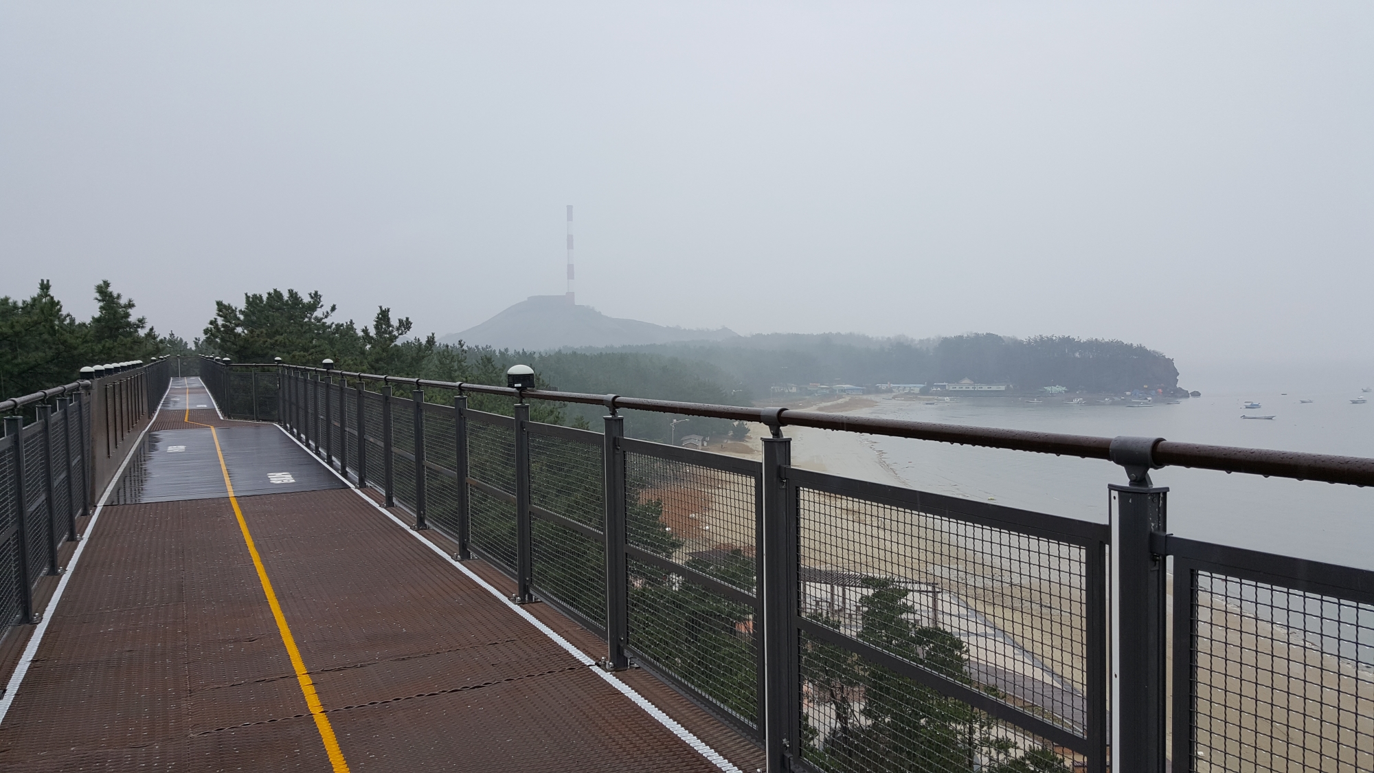 하늘을 걷는 짜릿함, 장항 스카이워크 개방시간 연장