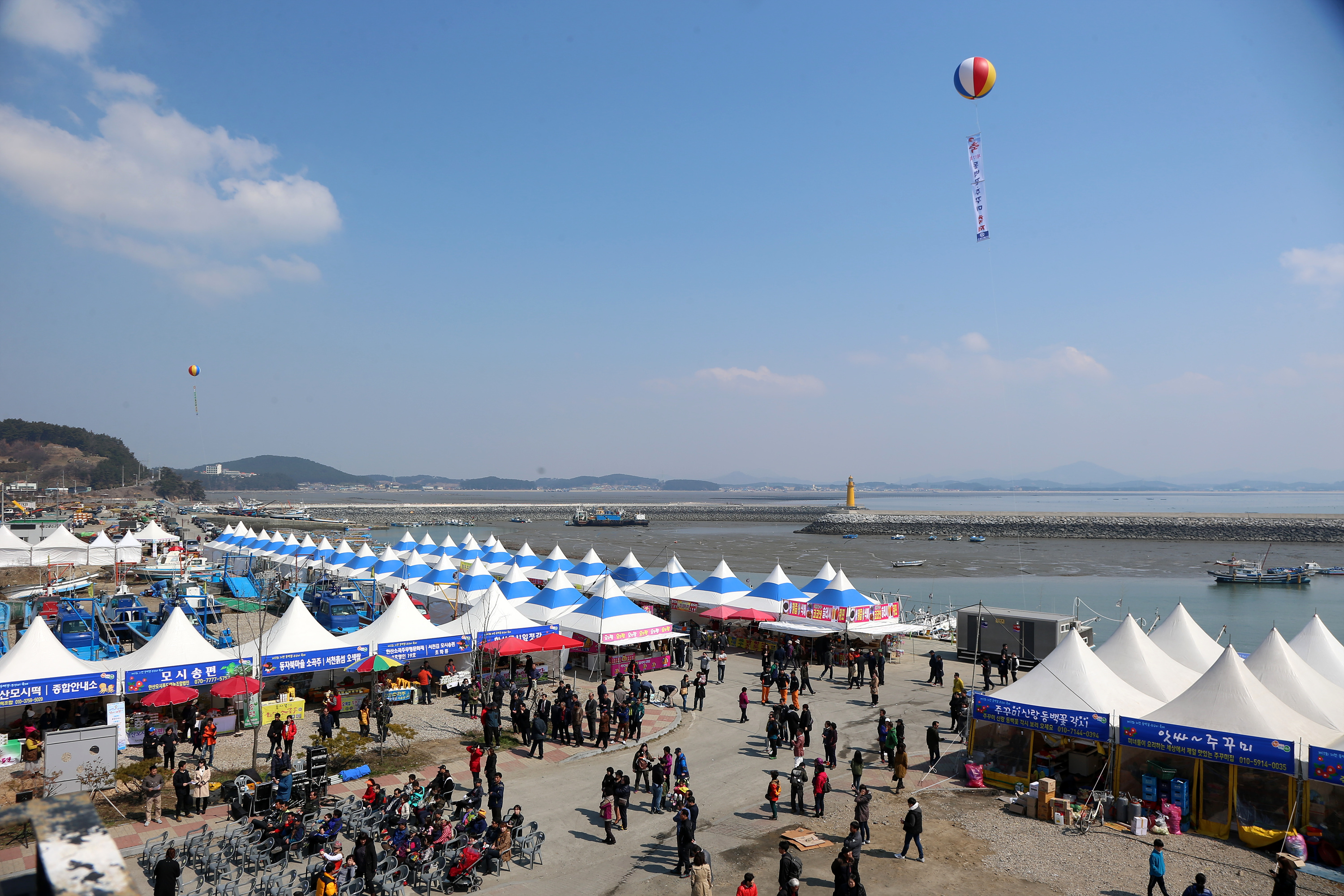 서천군 제17회 동백꽃 주꾸미 축제, 45만 명 찾아