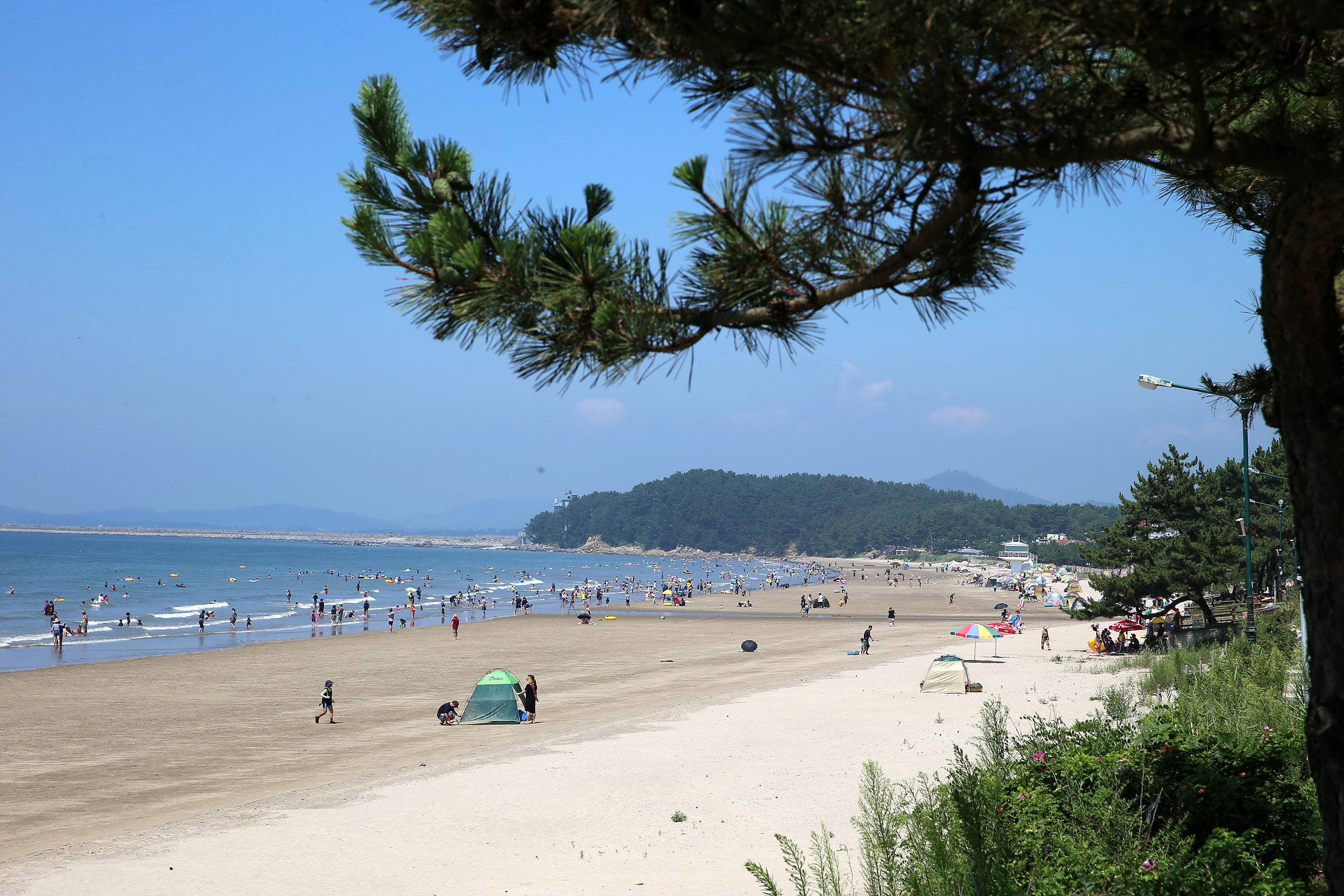 여름바다, 춘장대해수욕장에서 즐기세요!