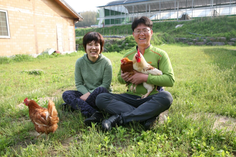 서천군, 벽오리농장 산란계 동물복지 축산농장 인증 획득