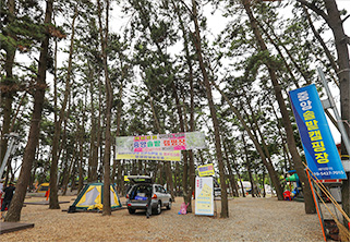 중앙솔밭캠핑장