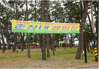 춘장대캠핑장