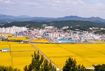서천의 도시와 논밭 전경 사진입니다.