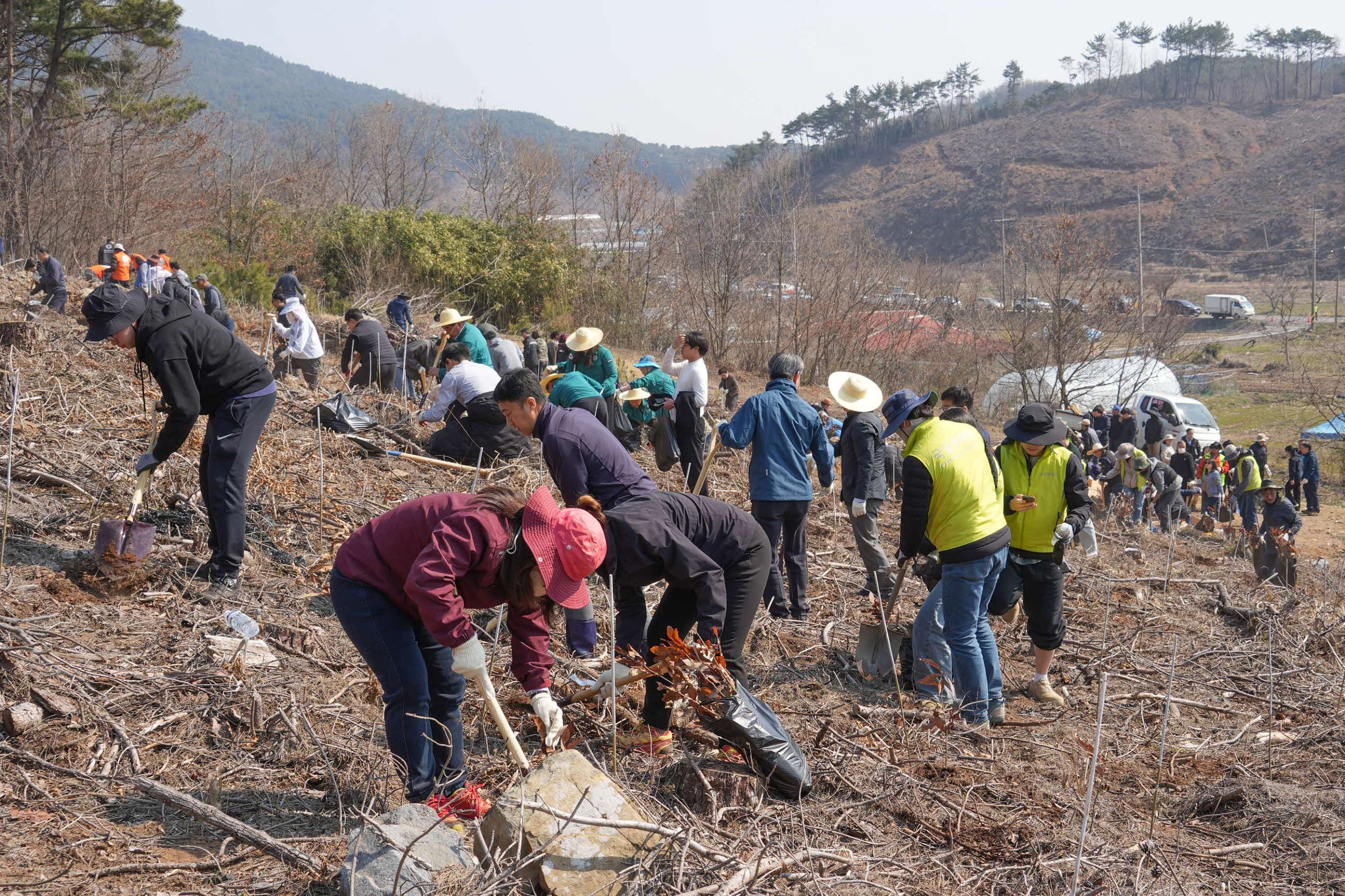 1. 서천군, 제80회 식목일 기념 나무심기 행사 개최 (3)